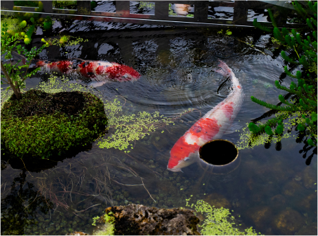 節水（資源の節約）